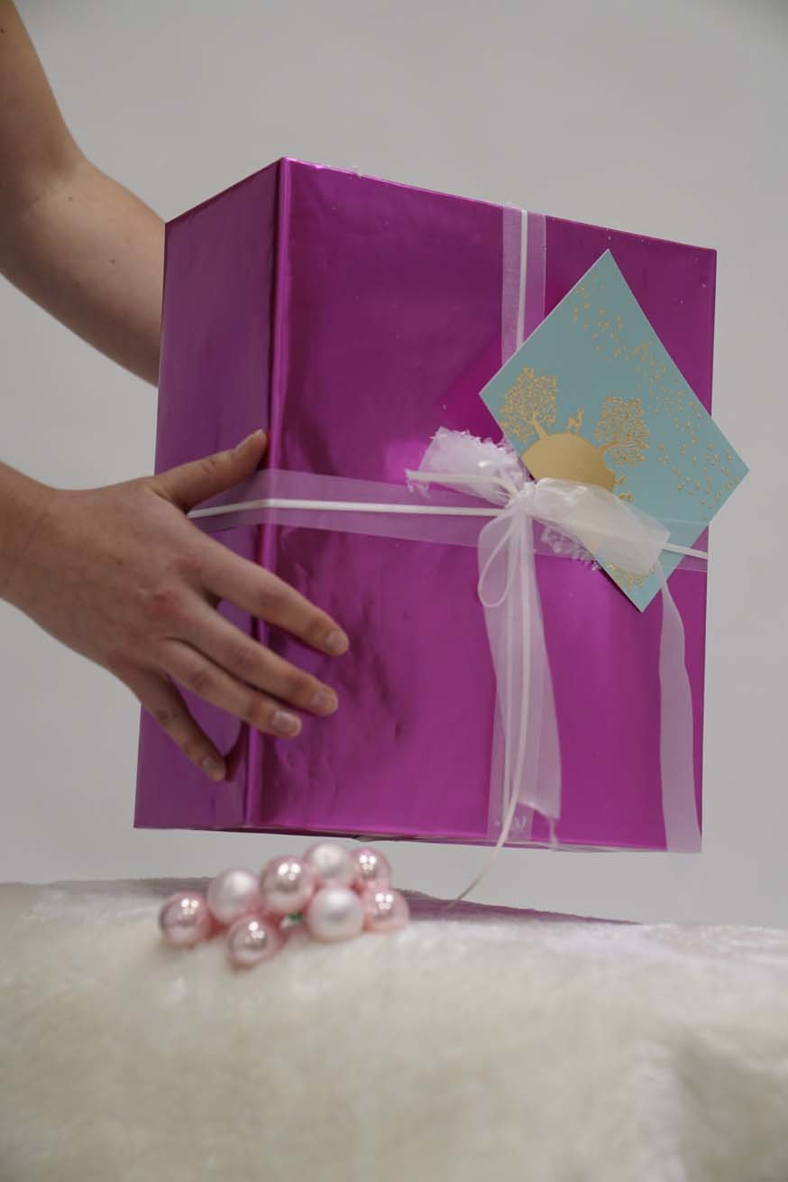 Specialist Carrying Consultant Certification - Basic Package - KOKADI