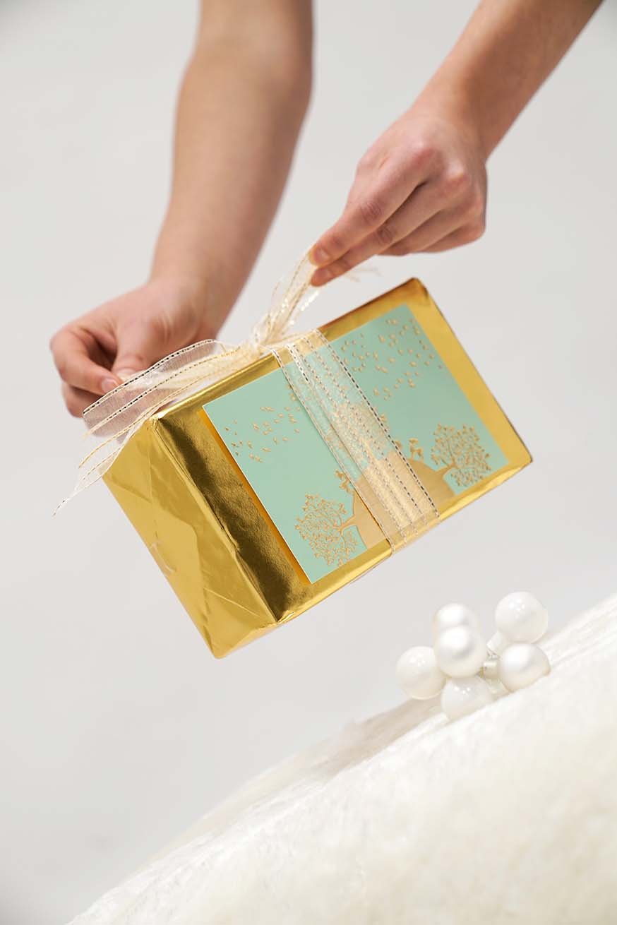 Specialist Carrying Consultant Certification - Premium Package - KOKADI